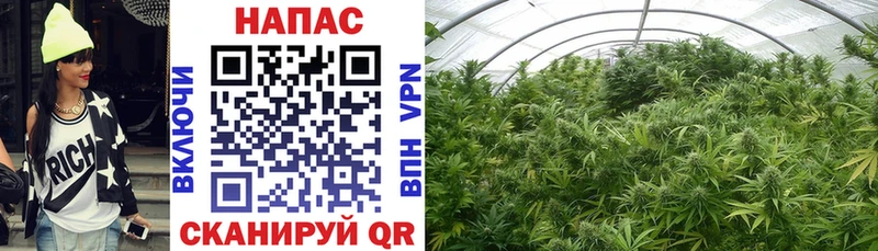 Купить наркотик аптеки Рыльск Конопля Амфетамин ГАШИШ Меф Alpha PVP
